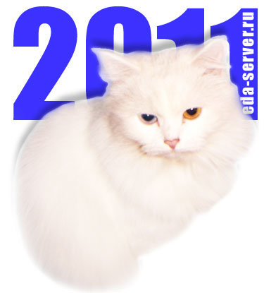 Новый 2011 год – год Белого Кота или Кролика.