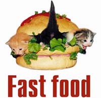 Fast Food.  2010       60%     .