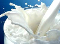 На молочном фестивале детям будут давать "Коровки"