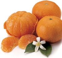 . Tangerine.