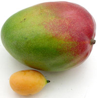 Мини-манго и манго